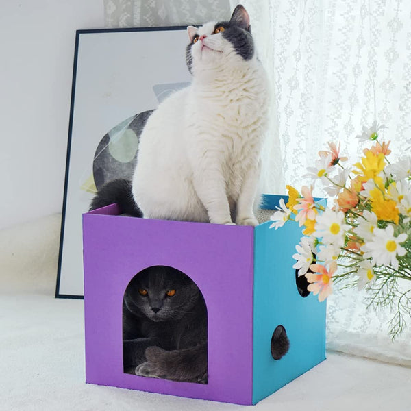 Cat Cardboard House Cat Cardboard Box